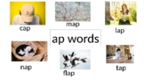 AP word family/CVC words Flashcards