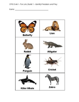 types of prey animals