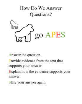 Preview of APES Paragraph Graphic Organizer and Checklist