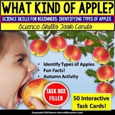 All About APPLES Task Cards MATCHING and READING COMPREHEN