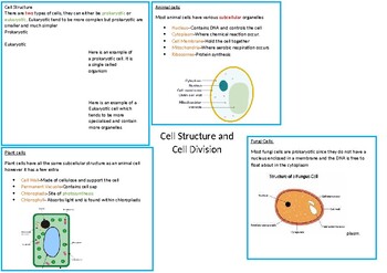 Preview of AQA GCSE Biology 9-1: Cell structure and Cell Division A4 Revision sheet