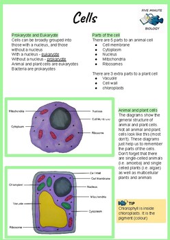 Preview of AQA GCSE Biology Cells Revision Sheet