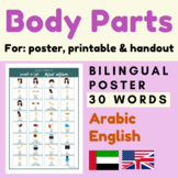 Body Parts Arabic English vocabulary