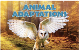 ARC Grade 4 / Unit 2 / Animal Adaptations / Vocabulary WORD WALL