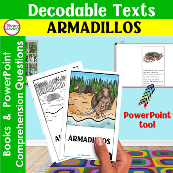Preview of ARMADILLO Reading Comprehension R controlled Vowel Decodable Passages & Question