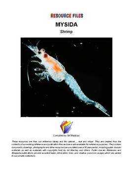 Preview of ARTHROPODS - Mysida Shrimp