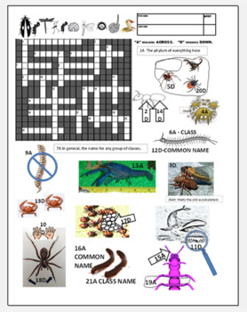 Preview of ARTHROPODS  "Picture Crossword" - Insects, Spiders, Crustaceans & more! - STEM