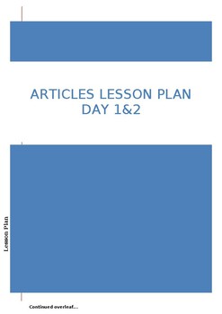 Preview of ARTICLES LESSON PLAN