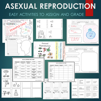 Preview of ASEXUAL REPRODUCTION BUNDLE - fission, budding, animal regeneration, cloning etc
