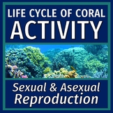 ASEXUAL and SEXUAL REPRODUCTION ACTIVITY Life Cycle of Cor