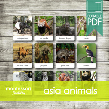 Preview of ASIA ANIMALS • Montessori Cards • Flash Cards • Three Part Cards