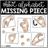 ASL Alphabet Missing Pieces Task Box | Task Boxes for Spec