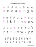 ASL Alphabet and Numbers