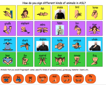 Preview of ASL (American Sign Language) Animals Vocabulary Sheet