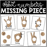 ASL Numbers to 20 Missing Pieces Task Box | Task Boxes for