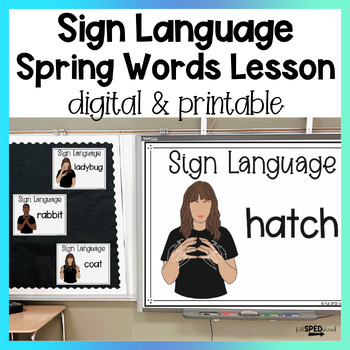 Preview of ASL Spring Sign Language Special Education Google Slides Digital Lesson & Poster