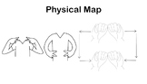 ASL Vocab - Physical Map