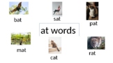 AT word family/CVC words flashcards