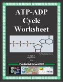 ATP-ADP Cycle Worksheet (Cellular Energy)