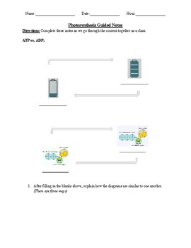 Preview of Photosynthesis (Guided Notes)