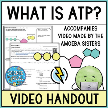 Preview of What is ATP Amoeba Sisters Video Handout