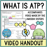 What is ATP Amoeba Sisters Video Handout