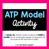 ATP Model Activity