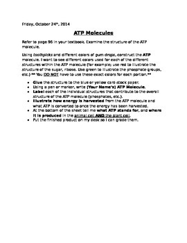 Preview of ATP Molecule & Cell Energy Mini-Lab