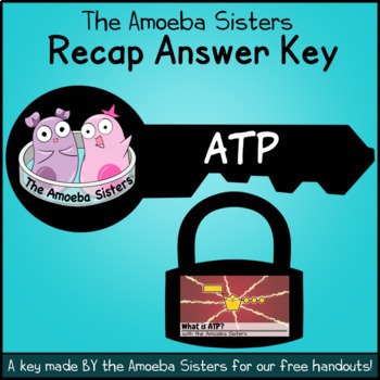 Preview of ATP Recap ANSWER KEY by the Amoeba Sisters (Amoeba Sisters Answer Key)