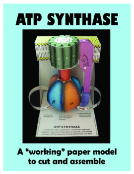 Preview of ATP SYNTHASE PAPER MODEL to cut and assemble