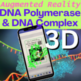 AUGMENTED REALITY DNA Polymerase-DNA Complex | Web-Based D