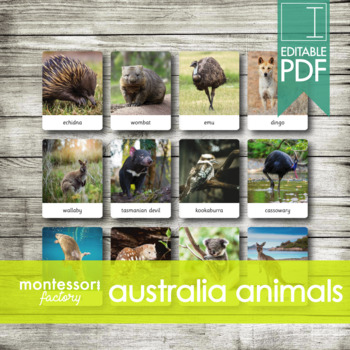 Preview of AUSTRALIA / OCEANIA ANIMALS • Montessori Cards • Flash Cards • Three Part Cards