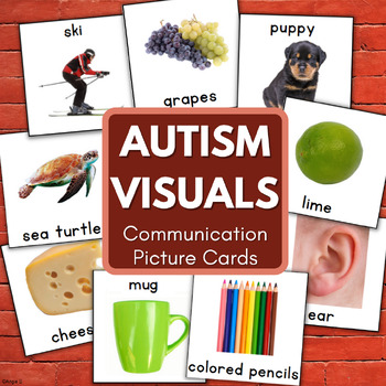 Preview of AUTISM VISUALS Nonverbal Communication Vocabulary Cards Real Pictures Special Ed