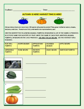 Preview of AUTUMN: A BOTANY/FARMING/ SQUASH IDENTIFICATION ACTIVITY: GRS. 5-12, MG