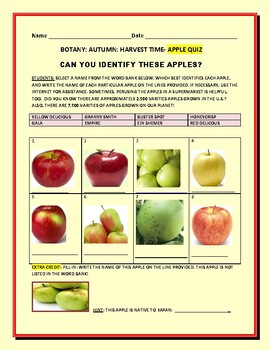 Preview of AUTUMN: BOTANY: HARVEST TIME: APPLES QUIZ