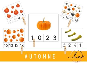 Preview of AUTUMN FALL COUNTING CARDS -  Cartes à pince | courges - automne - squash