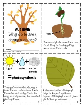 Preview of AUTUMN:  WHY DO LEAVES CHANGE COLORS?  Mini reader, vocabulary cards & foldable