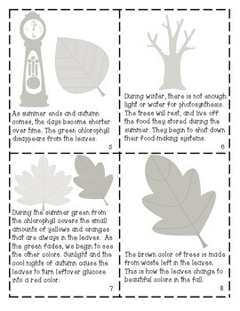 View 10 Why Do Leaves Change Color Worksheet Wallpaper - Small Letter
