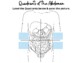 Abdominal Regions & Body Quadrants Labeling & Coloring Worksheet