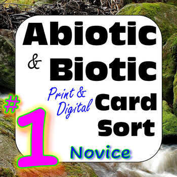 Preview of Abiotic & Biotic Factors in Ecosystems Card Sort #1: Novice -Print & Digital