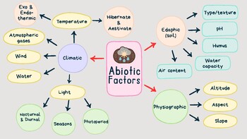 Preview of Abiotic Factor Summary