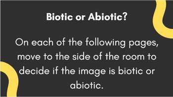 Preview of Abiotic VS Biotic Review Game