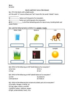 Preview of Abiotic and Biotic Factors - Worksheet | Printable & Distance Learning