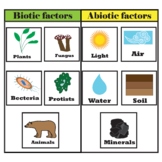 Abiotic and biotic factors.