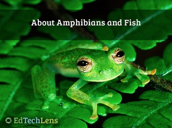 Preview of About Amphibians and Fish Distance Learning PDF