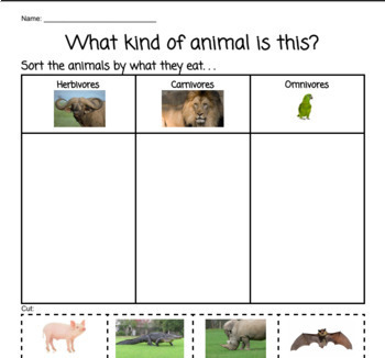 About Animals: What they Eat and The Food Chain -Bundle | TPT