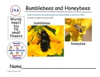 Preview of About Bumblebees and Honeybees #24A: Computer Reading