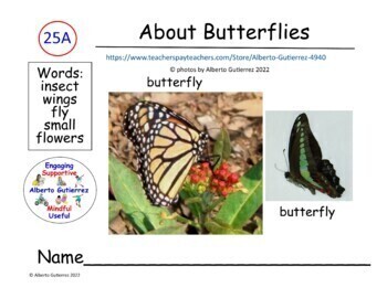 Preview of About Butterflies #25A For Computer Reading