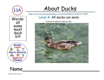 Preview of About Ducks For Computer Reading: Level A #11A