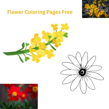 Preview of About Flower Coloring Pages  Graphic